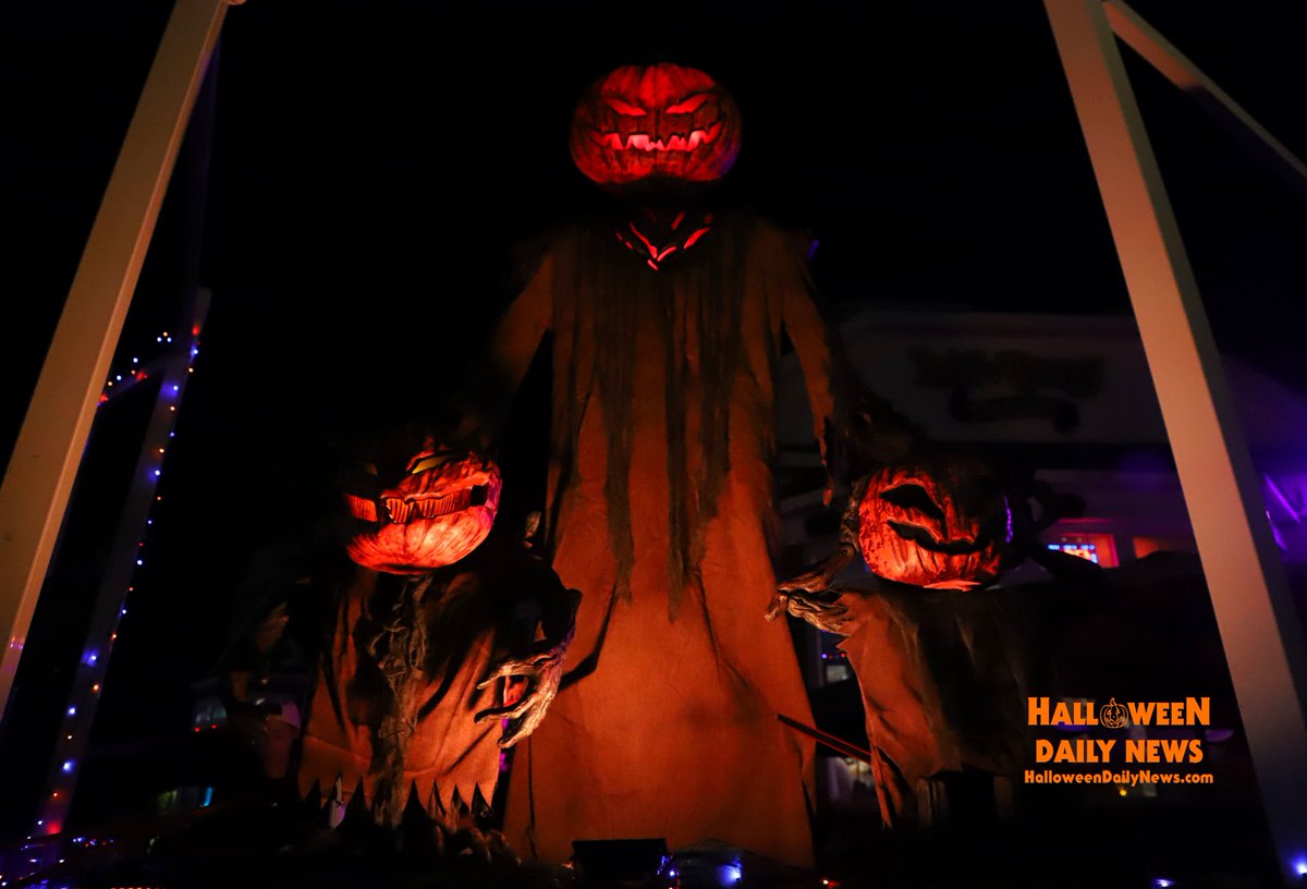 HalloweenDaily's tweet photo. HALLOWEEN ISLAND is in full effect in Manteo on the Outer Banks, NC! This is the backdrop of our Halloween Film Festival, Oct. 23-24. JOIN US! Watch our coverage from kickoff weekend: https://t.co/blOZeK1b5K 

🎃 https://t.co/efubVsDn80