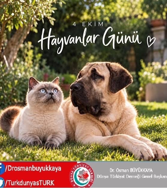 DrosmanBuyukaya's tweet photo. 4 Ekim Dünya Hayvanları Koruma Günü

Hayvanlar, doğanın sessiz tanıkları ve yaşamın ayrılmaz bir parçasıdır. Onları korumak yalnızca bir vicdan meselesi değil, aynı zamanda ekolojik sorumluluğumuzun ve insanlığımızın bir gereğidir. Unutmayalım, bir canı korumak, yaşamın bütünlüğünü savunmaktır.