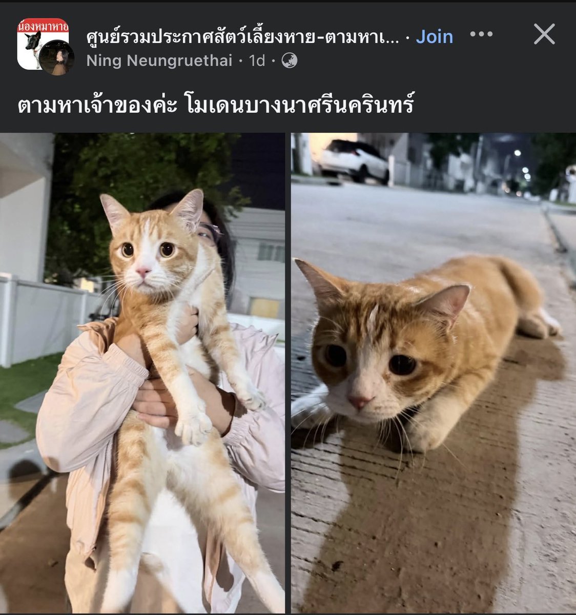 reno____o's tweet photo. ขอให้เจอเจ้าของไวๆนะ https://t.co/wb8bMtJpno