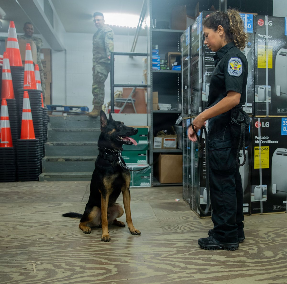 DCGuard1802's tweet photo. Train together. Stay ready.🐾

Training at the D.C. Armory reflects the importance of strong partnerships across the National Capital Region — bringing agencies together, sharing capabilities and ensuring teams are prepared before they are called upon. @USNationalGuard https://t.co/y5CVPDP2hd