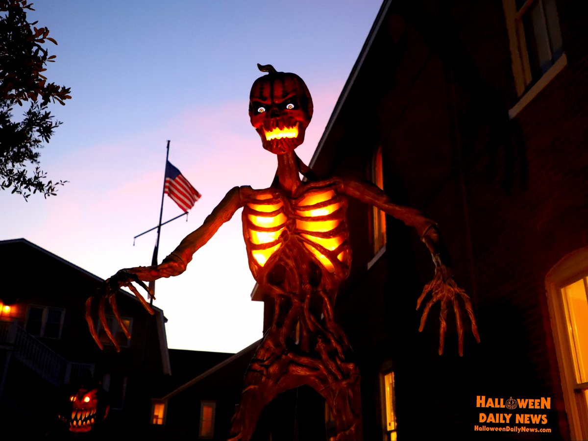 HalloweenDaily's tweet photo. HALLOWEEN ISLAND is in full effect in Manteo on the Outer Banks, NC! This is the backdrop of our Halloween Film Festival, Oct. 23-24. JOIN US! Watch our coverage from kickoff weekend: https://t.co/blOZeK1b5K 

🎃 https://t.co/MD0BLGJoAI