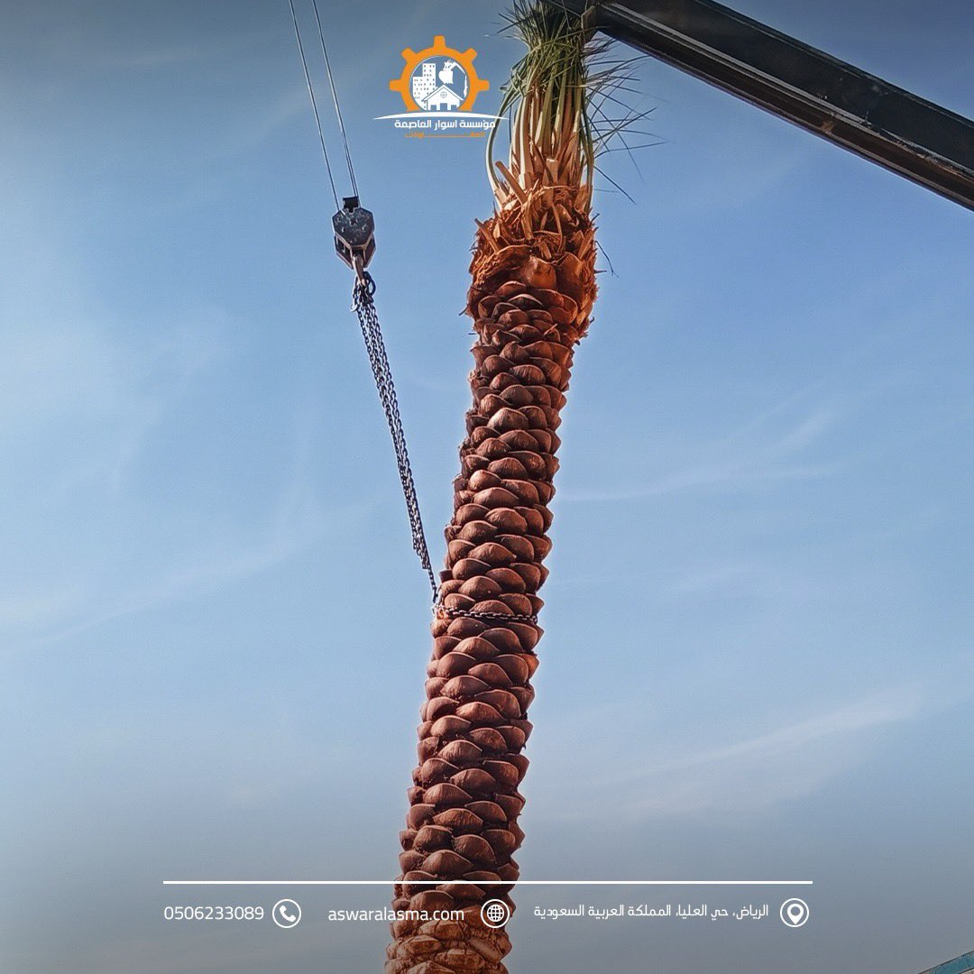 DecorRiyadh1's tweet photo. النخيل في مشاريع اللاندسكيب جزء من تكوين الموقع وهويته

في أسوار العاصمة ننفذ أعمال النخيل ضمن نطاق اللاندسكيب، بما يحقق تكاملها مع شبكات الري والمساحات الخضراء وبقية عناصر الموقع الخارجي

تواصل معنا:
0506233089
https://t.co/v3QQEeqQr1 
الرياض، حي العليا، المملكة العربية السعودية https://t.co/GMadzF0e3h