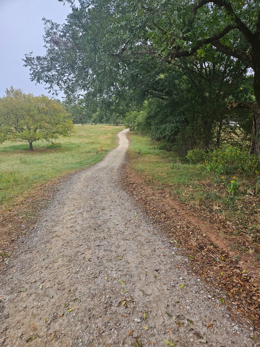 WillOAyers's tweet photo. OK nice little sweat / #jog / #walk with the @RogueFitness 20lb vest before @NFL Sunday. Legs absolutely cooked after going to my friend's #spin class yesterday!!!
#BlessedSunday #fitnessgoals #everystepcounts https://t.co/bAYS7RpQJr