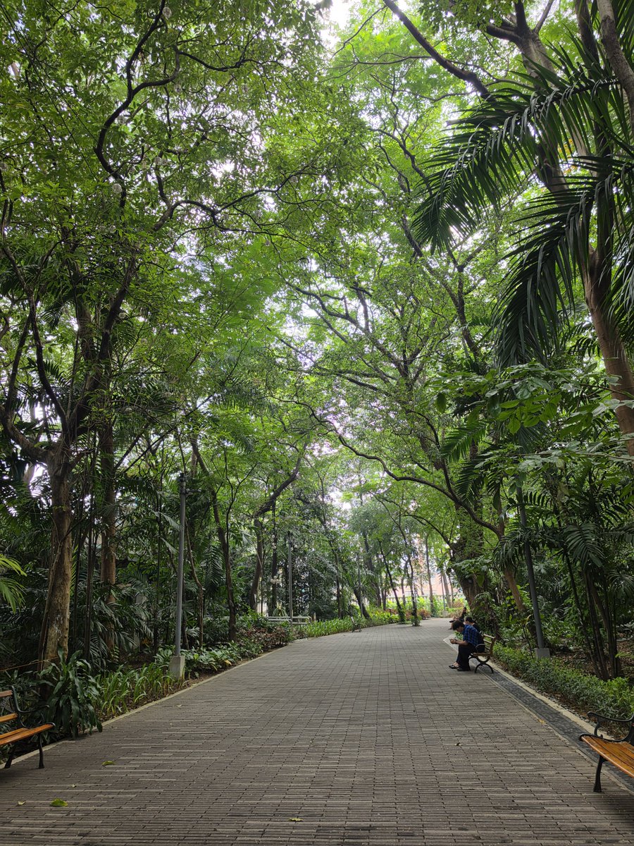 binilat__mulat's tweet photo. bias ako sa Ayala Malls kase common theme sa malls nila yung OPEN SPACES AND GREENERY kaya hindi nakaka overstimulate!

Circuit Makati, Ayala Malls Manila Bay, tsaka Greenbelt-Glorietta ftw!

pero why go to malls if we can hang out sa actual parks?! https://t.co/haQnkL4rXH