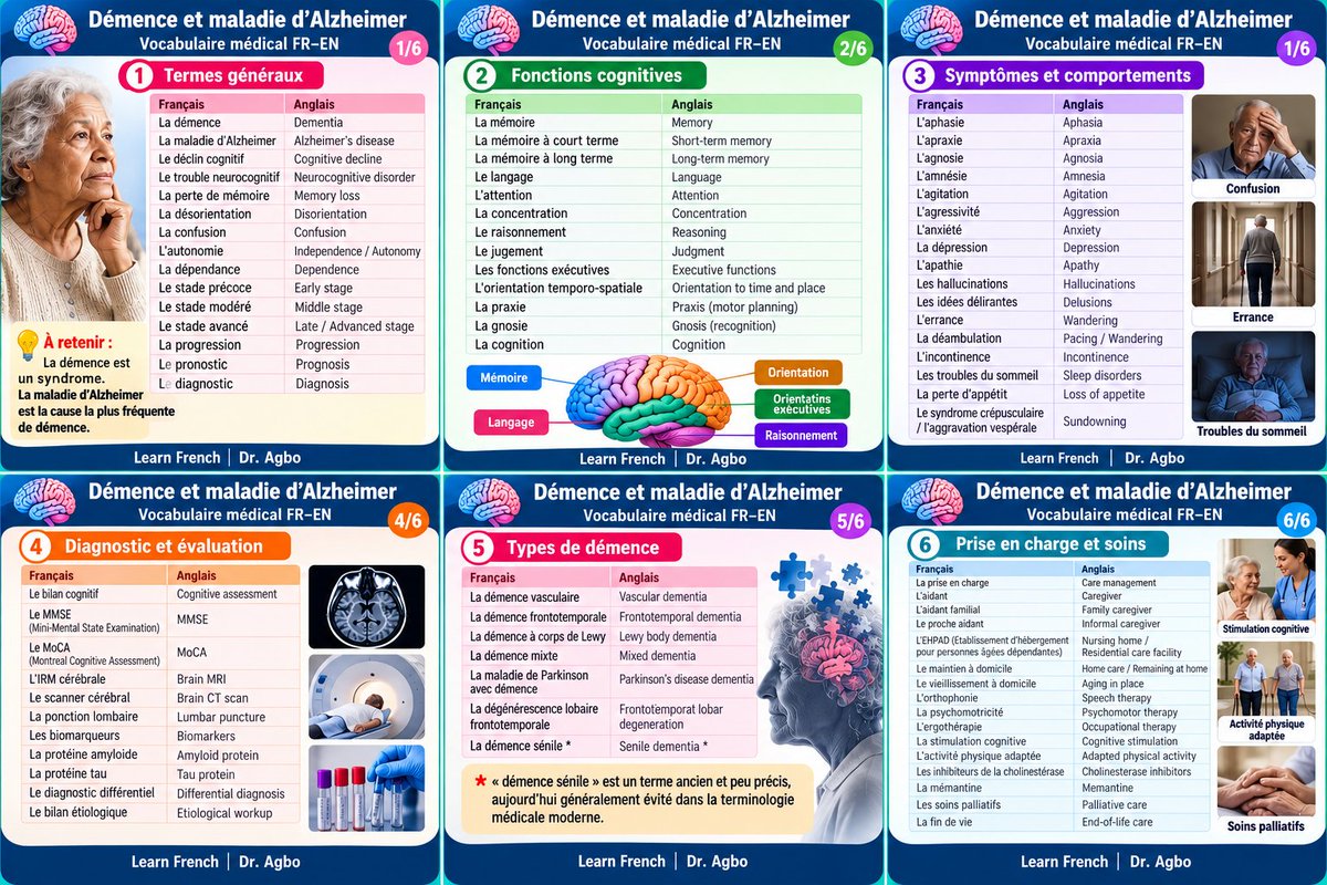 James2020Agbo's tweet photo. 🧠 Démence et maladie d’Alzheimer : connaissez-vous le vocabulaire essentiel en français et en anglais ?
Découvrez ce vocabulaire médical FR–EN utile aux professionnels de santé, aux étudiants et aux apprenants de français. 🇫🇷🇬🇧
👉 Likez, partagez et commentez !
#LearnFrench https://t.co/CaCfyKtiHt