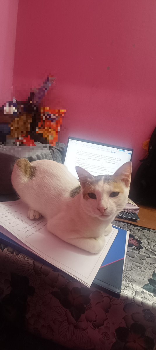 mephiesy's tweet photo. Who put this loaf ryt here?? https://t.co/Mz1Ov4MPU4