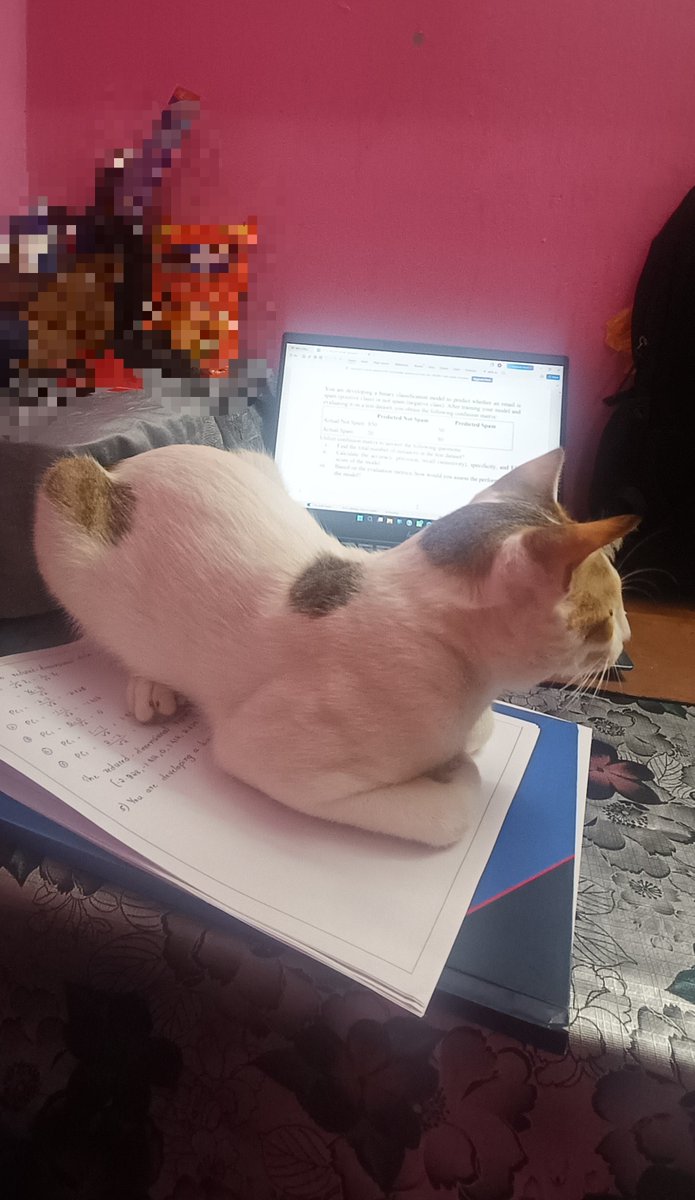 mephiesy's tweet photo. Who put this loaf ryt here?? https://t.co/Mz1Ov4MPU4