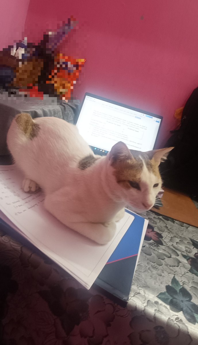 mephiesy's tweet photo. Who put this loaf ryt here?? https://t.co/Mz1Ov4MPU4