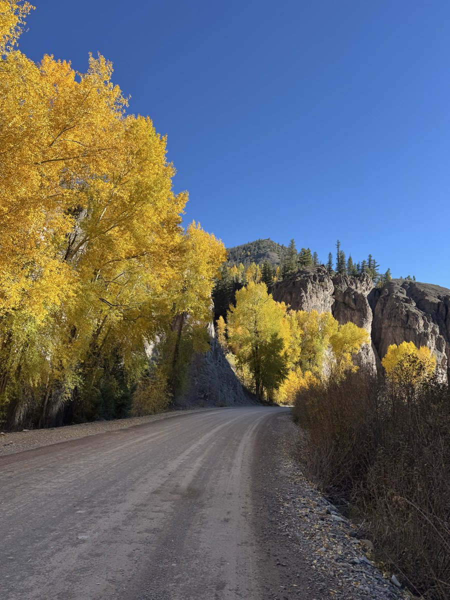 blsloan's tweet photo. Fall running in the mountains. Pure bliss. https://t.co/jo1BVpcnFP