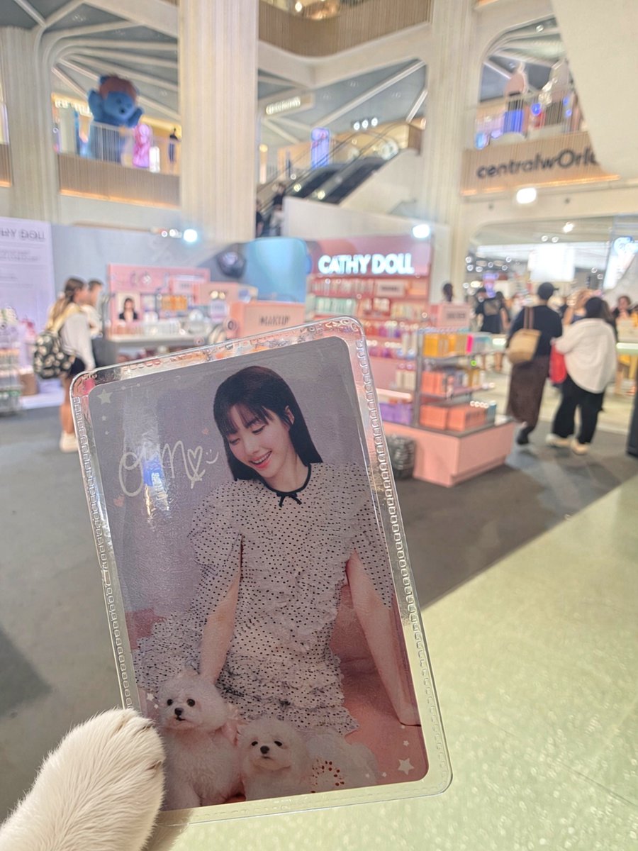 orm00k38's tweet photo. 포토카드 겟또✨️
#CATHYDOLLORM7DAY #CATHYDOLL #CATHYDOLLxORM #LingOrm #Ormkornnaphat #ออมกรณ์นภัส #CATHYDOLLBeautyCheckOut #ชอปความปังเช็กเอาท์ความสวย https://t.co/JkTb2n1cZA