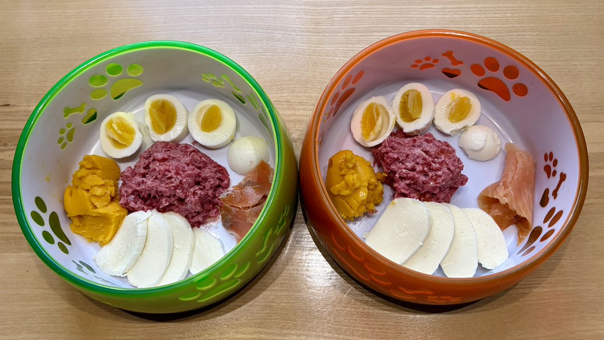 TeamTupfen's tweet photo. So langsam wird das was. Unser #Wochenendei gab es auch diesmal wieder ohne Erinnerung von Onkel Eric @mav_cologne .
Dazu gab es Putenfleisch, Mozzarella, Lachs und Möhrensüßkartoffelstampf 😋😋. https://t.co/FeUJ9ZRV65