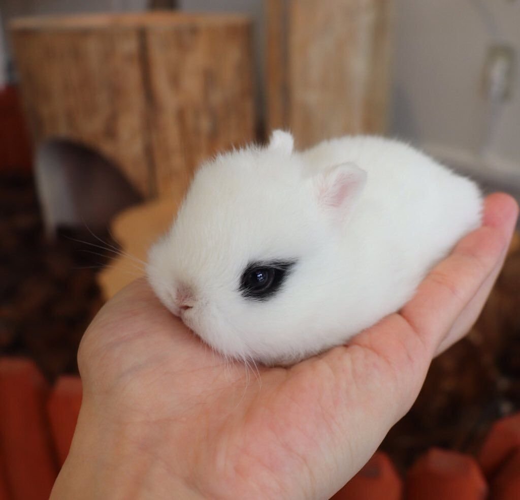 ashyaywoohoo's tweet photo. look at me. look at how f*cking little i am. im so f*cking tiny and emo... you'll never get it... https://t.co/pa6scUffhy