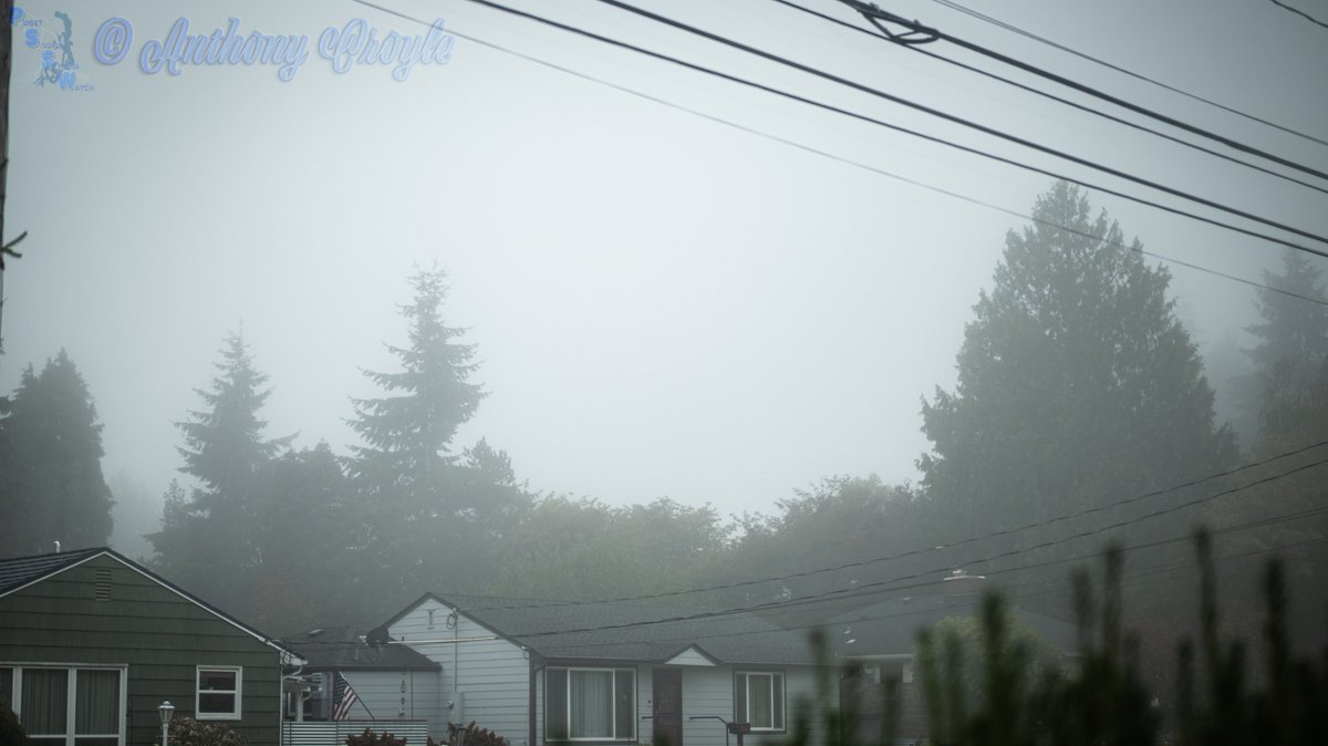 PugetStormWatch's tweet photo. Photos of the dense fog from headquarters in North End Tacoma. Nikon Z50 40 mm f/2 #wawx https://t.co/c5dMsV2gzn