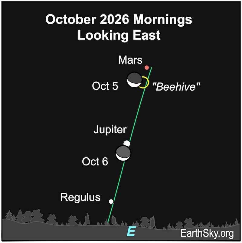 earthskyscience's tweet photo. The thick waning #moon will sweep past #Jupiter and #Mars early this week. Look east before sunup.

Some North American observers will see the moon occult – or pass in front of – Jupiter at 10 UTC on October 6. More here: https://t.co/9lbYr2aNEc https://t.co/7JJ14nIYeV