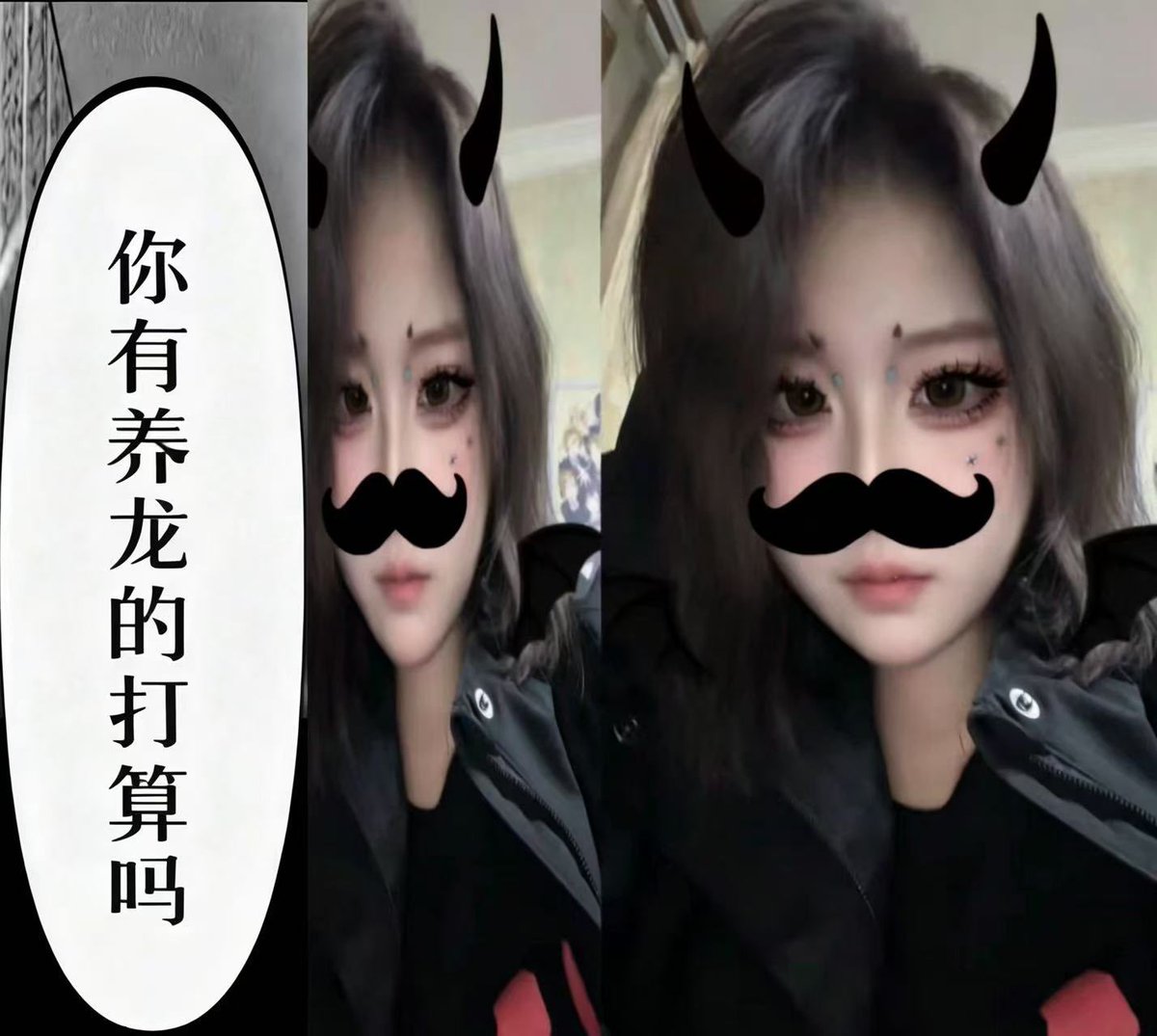 bae100310's tweet photo. 你有养龙的打算吗🐲 https://t.co/vZS1dbyWtj