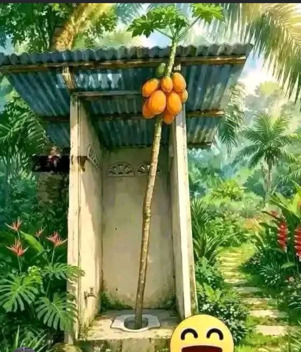 philip_bon52194's tweet photo. To be honest, can you eat this pawpaw?🤔😲 https://t.co/VpWU4N68FD