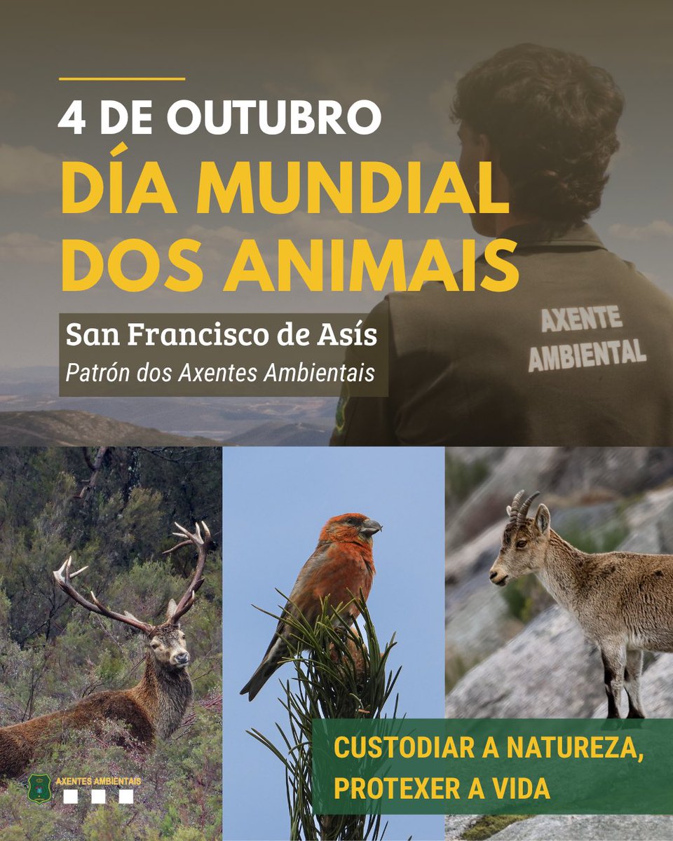 APRAFOGA's tweet photo. Hoxe, 4 de outubro, é o Día Mundial dos Animais e da festividade de San Francisco de Asís, patrón dos Axentes Ambientais.

O noso compromiso diario no monte é velar pola conservación da nosa fauna silvestre, protexer os seus hábitats e garantir a biodiversidade. 🐺🦌💚 https://t.co/TSVZwW0kTb