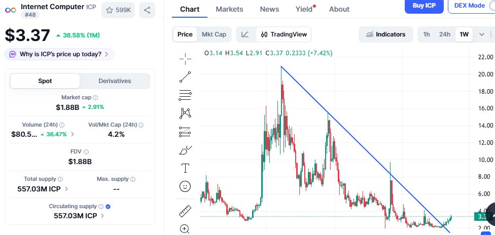 SaeedCheema's tweet photo. $ICP holders, your coin is one of the most searched tokens on X. 🔥

I know one day we’ll see people sharing their life-changing returns from #ICP.

Stay patient. The real move may be closer than you think. 🚀 https://t.co/b5spZ4Lrv3