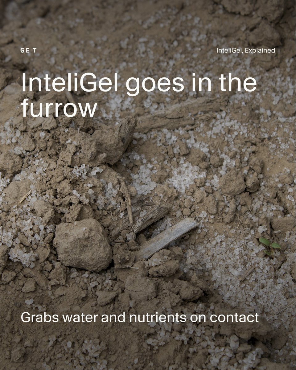 get_inteligel's tweet photo. Half your water never reaches the plant.

InteliGel goes in the furrow at planting and is designed to grab water and nutrients on contact.

From there, it holds them at the root zone and releases them as the plant needs them.

One pass at planting, a season of cover.

#AgTwitter https://t.co/4TuUOPLx93