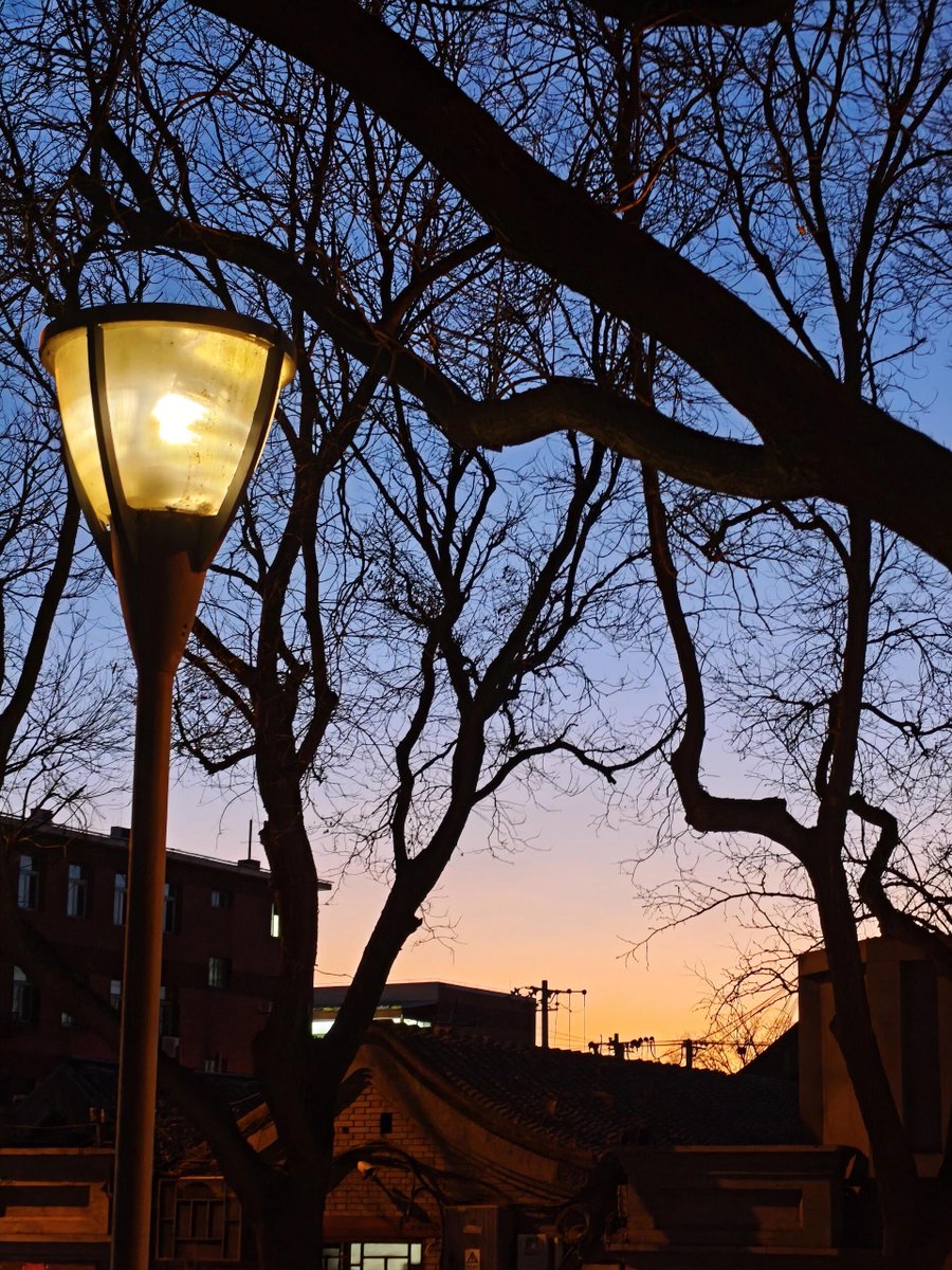LillyBellbc's tweet photo. Atardecer cálido en la calle! El sol se filtra entre los árboles, creando sombras doradas en el asfalto, y el ruido suave de los transeúntes me hace disfrutar este momento simple. https://t.co/oYtor3UWA4