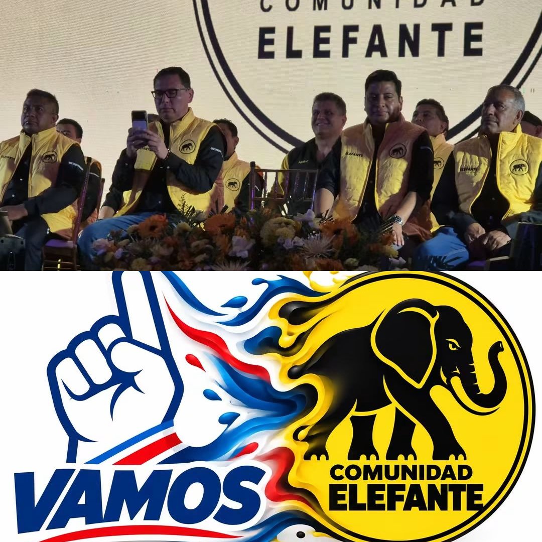 AlexEnLaLucha's tweet photo. 🔴 YA CONOCEN LA HISTORIA — NO SE DEJEN ENGAÑAR 🔴
 
Ustedes ya conocen bien quiénes son: Duay Martínez y Erick Tzun. Ahora aparecen con el partido Comunidad Elefante, como si cambiar de camiseta borrara todo lo que han hecho. Pero la gente no olvida. 🚫
 
Los hechos hablan solos:
 
🔴 Duay Martínez
 
- Pasó de vivir humildemente a acumular bienes y riquezas de forma rápida mientras ocupaba cargos públicos
​
- Señalado por cobrar comisiones a empresas y personas antes de entregar obras o contratos
​
- Manejó presupuestos millonarios sin transparencia, asignando recursos a conocidos y allegados
​
- Investigado por enriquecimiento ilícito y vínculos con negocios turbios en Quetzaltenango
​
- Obras prometidas que nunca llegaron, mientras el dinero desaparecía
 
🔴 Erick Tzun
- Exgobernador y luego diputado, vinculado al desvío de fondos del CODEDE
​
- Acusado de beneficiar a personas cercanas con contratos y recursos públicos
​
- Acumuló bienes que no coinciden con su sueldo oficial
​
- Saltó de partido junto a Martínez: primero uno, ahora otro, siempre juntos
 
Cambian de partido, PERO NO cambian de mañas. 🐘➡️❌
 🙌
 
El pueblo no olvida. No permitamos que vuelvan a aprovecharse.