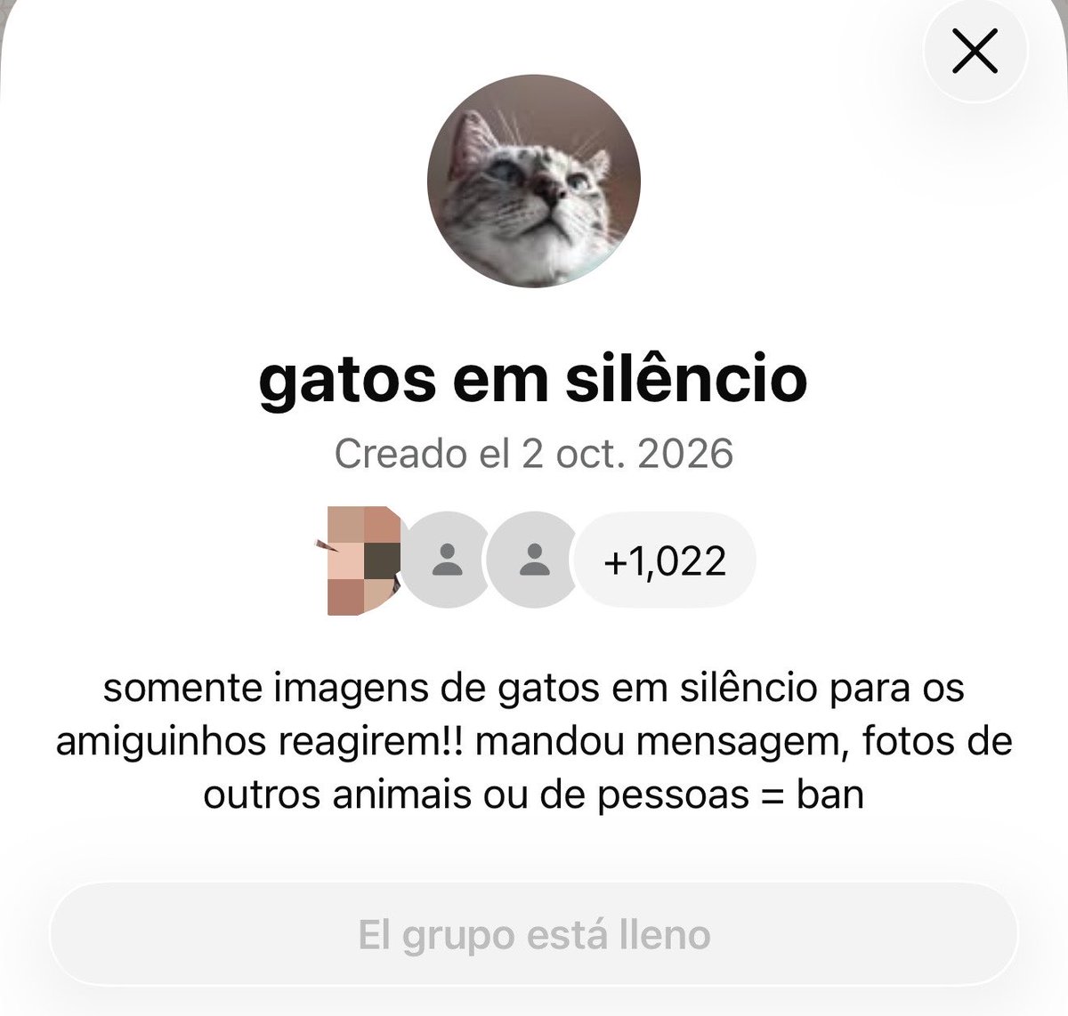 milathv_'s tweet photo. Puede alguien salirse del grupo de gatos en silencio!! Quiero participar 😭 https://t.co/kgjZtYcgYD