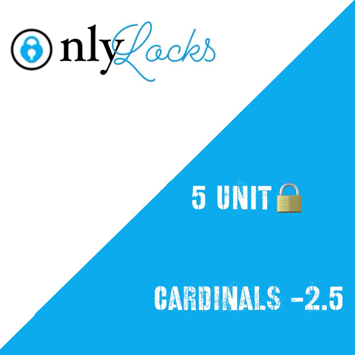 OnlyLocksPicks's tweet photo. LOCKS🔒 https://t.co/57Y34IMH5O