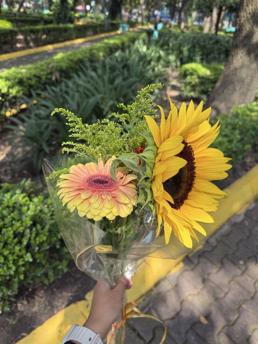 _ximenagj's tweet photo. Ustedes ven unas flores…
Yo veo a Rous con 30 mil pendientes tomándose el tiempo de pasar por unas flores para mi 🥺 https://t.co/Xk9L3mzSnB