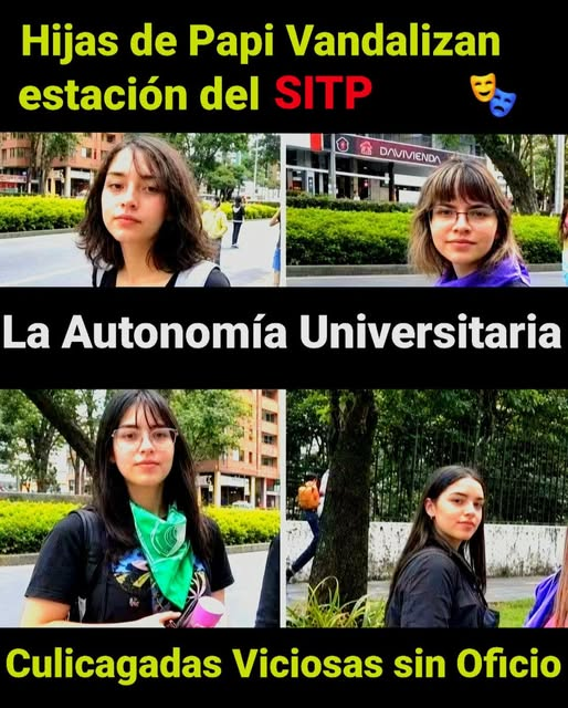 Mariano_OspinaP's tweet photo. Estas son las zarrapastrosas que destruyen el mobiliario público en Ibagué... ayude a identificarlas como las vándalas petristas que son https://t.co/BUImNpskhI