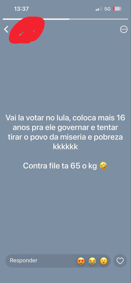 ifbaldwins's tweet photo. primeiramente boa tarde não sei porque me gasto sendo que bolsonaristas são bem pé no chão e mao no chão também tal qual uma anta um jumento um jegue https://t.co/DPIBuDFqyv