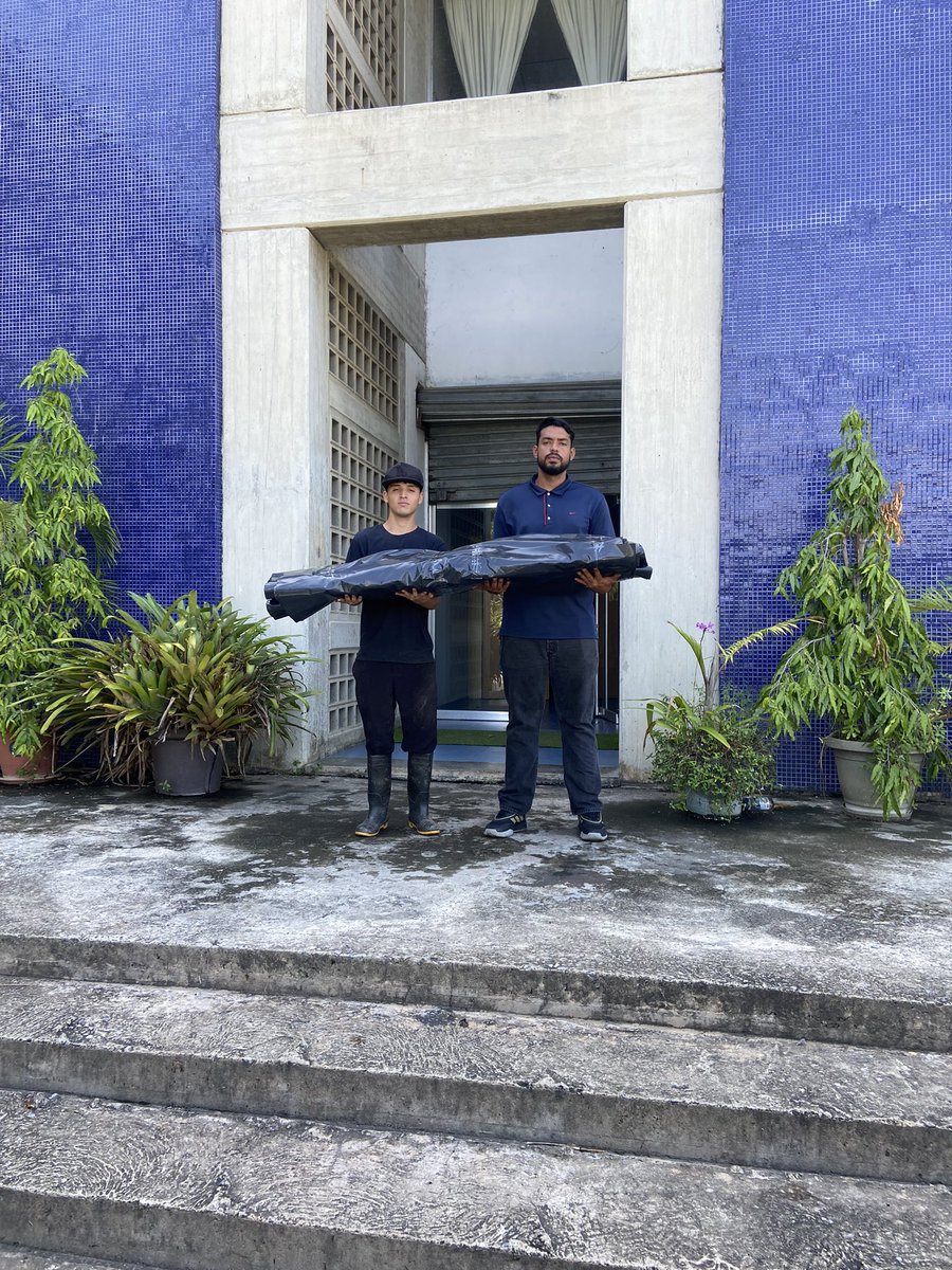 MIZAUCV's tweet photo. Agradecemos a Alpha Plastic por donar plástico ferretero para el nuevo estanque de la Bioisla del MIZA. Su apoyo permitirá recrear un ecosistema acuático, promover investigaciones y fortalecer la educación ambiental sobre biodiversidad urbana que desarrollamos en el museo. 🤝 https://t.co/LNfc0uoy48