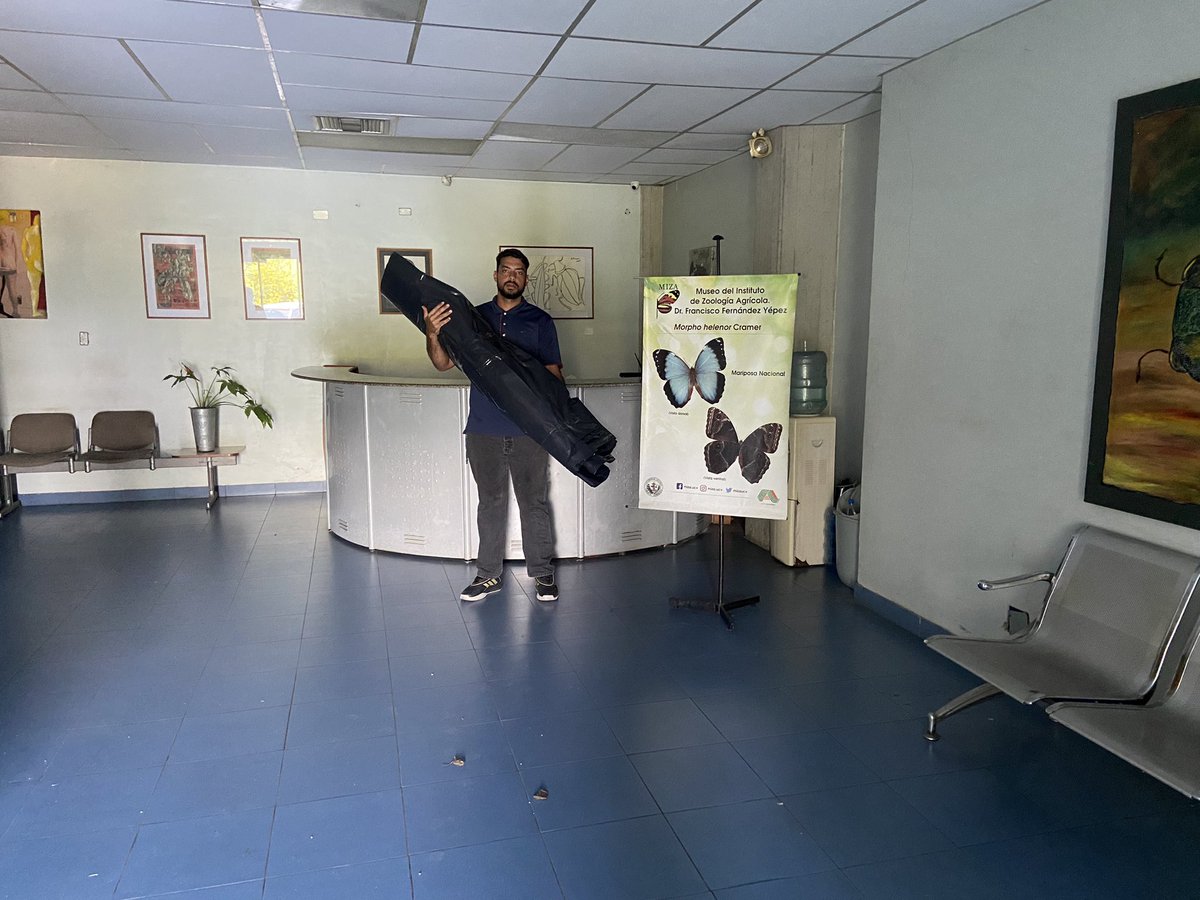 MIZAUCV's tweet photo. Agradecemos a Alpha Plastic por donar plástico ferretero para el nuevo estanque de la Bioisla del MIZA. Su apoyo permitirá recrear un ecosistema acuático, promover investigaciones y fortalecer la educación ambiental sobre biodiversidad urbana que desarrollamos en el museo. 🤝 https://t.co/LNfc0uoy48
