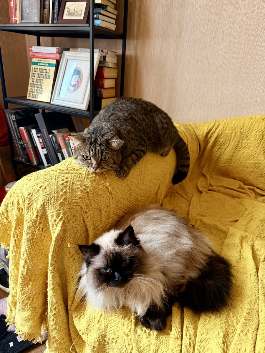 IrinaGaloux's tweet photo. Моё недвижимое имущество https://t.co/NO6rLYqySA