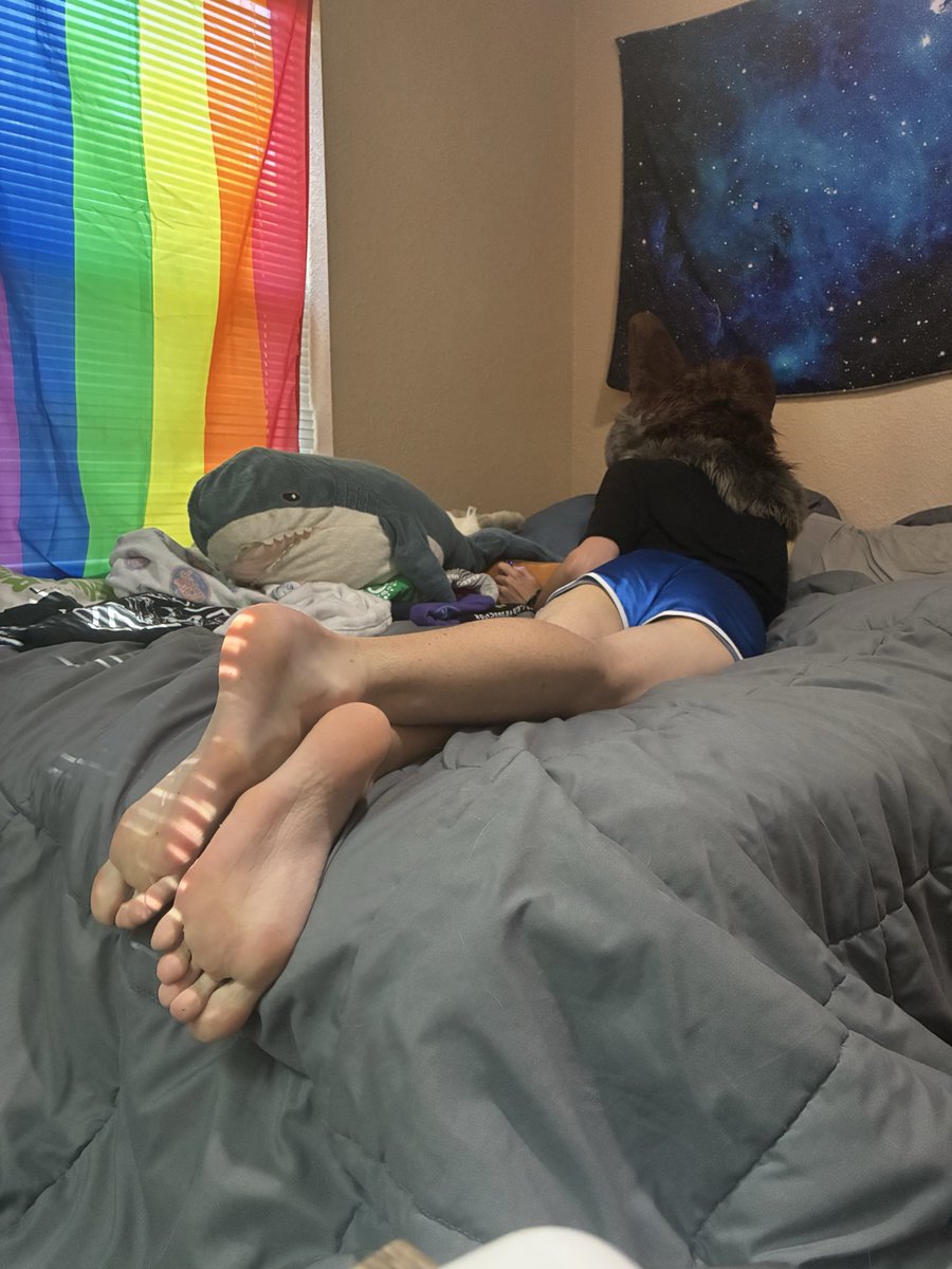_MoonlitPaws_'s tweet photo. Soft soles on a Sunday morning :3

#soles #solesunday https://t.co/j7I4TeRqJn