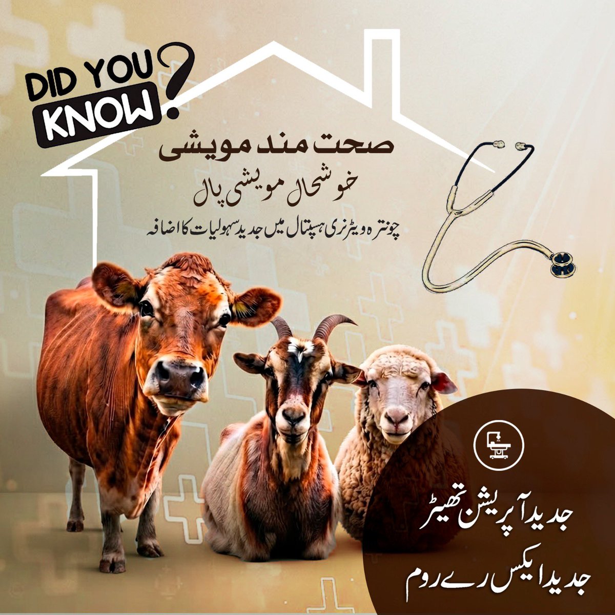 _punjabtracker's tweet photo. مریم نواز کے پنجاب میں،صحت مند مویشی۔۔۔
خوشحال مویشی پال!

#punjablivestock #govtofpunjab #maryamnawaz https://t.co/VS8O1EY4DH