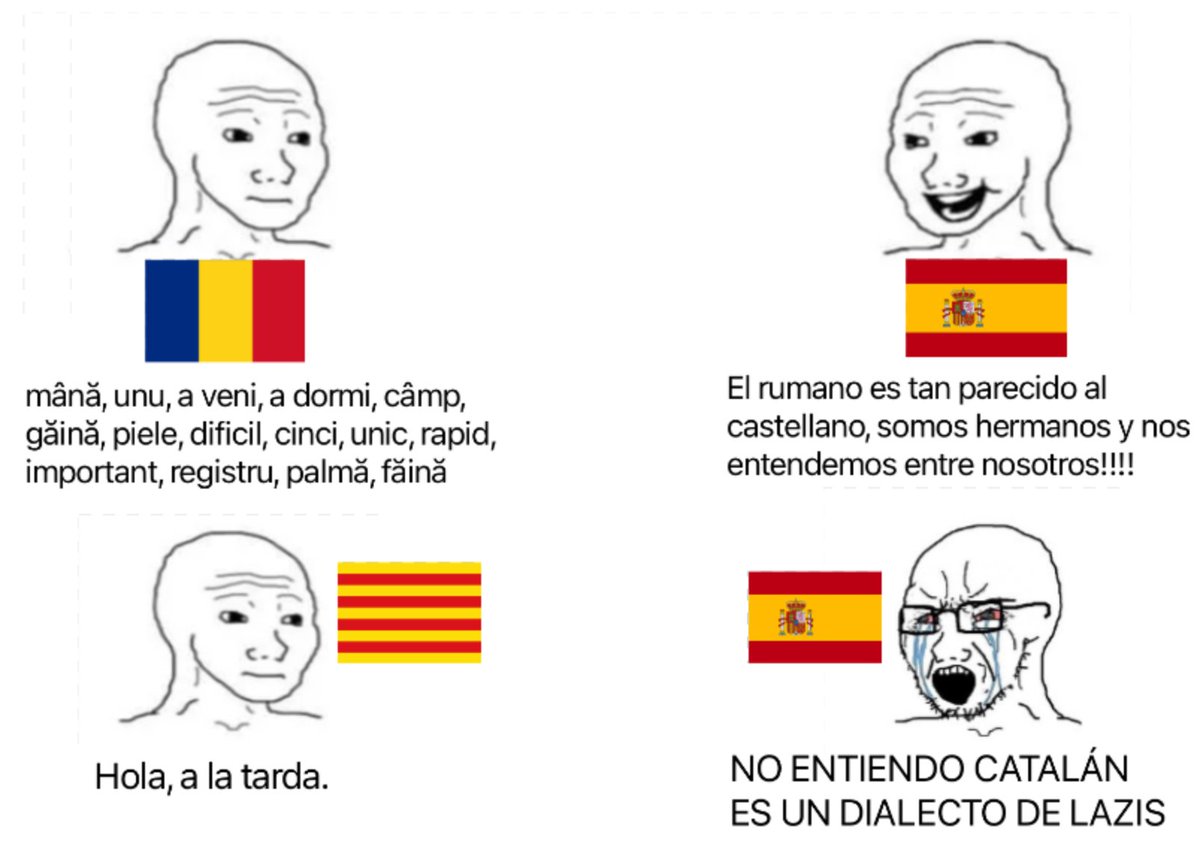 pancatalanisme's tweet photo. Els castellans et diran que entenen el romanès, però després si els dius literalment una oració curta en català que és gairebé idèntica en castellà, pel fet que sigui en català, et diran que no t'entenen. Per què aquest doble estàndard de merda? https://t.co/afu5A8K7kQ