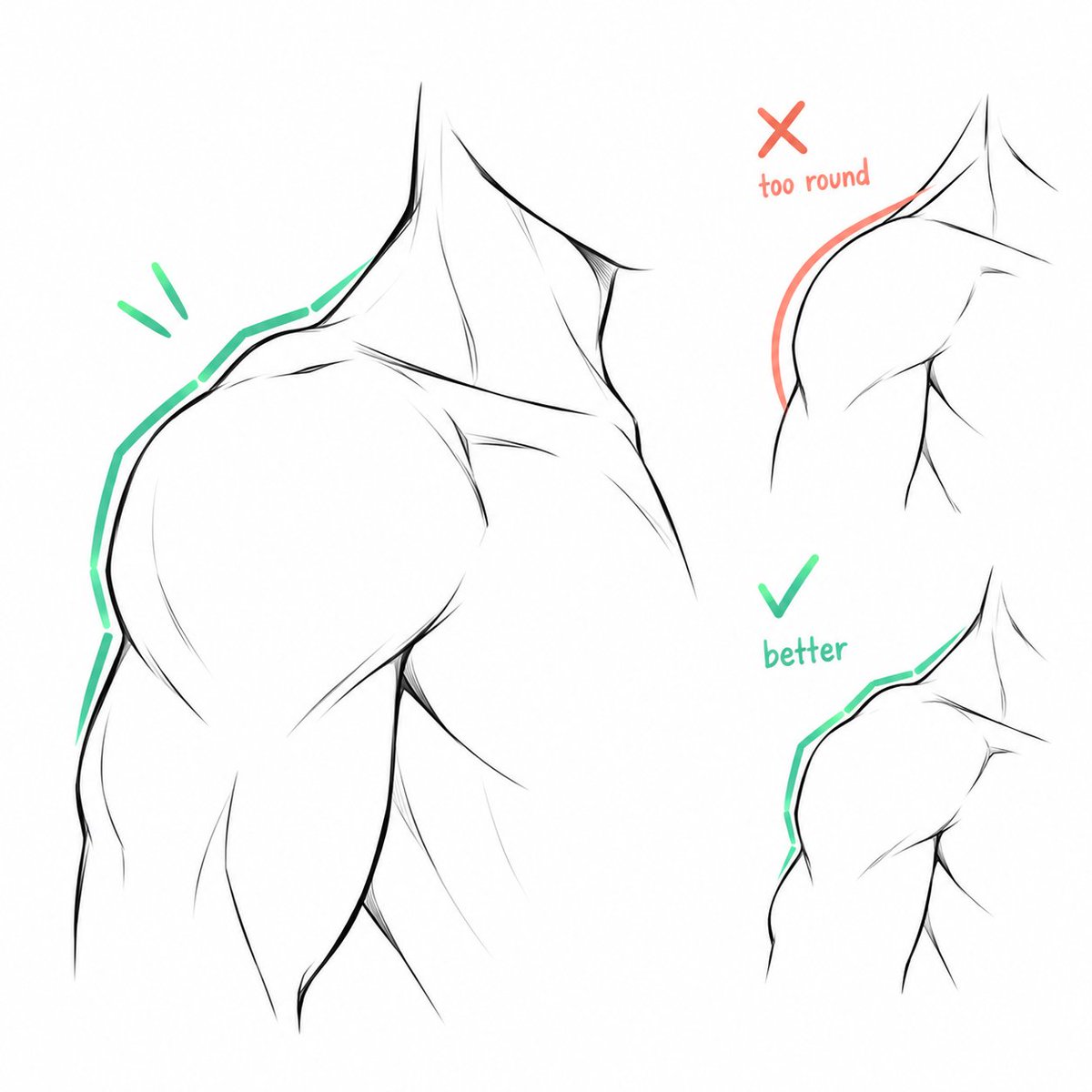 ezdrawps's tweet photo. Muscular shoulders are defined https://t.co/tE3YX53mQE