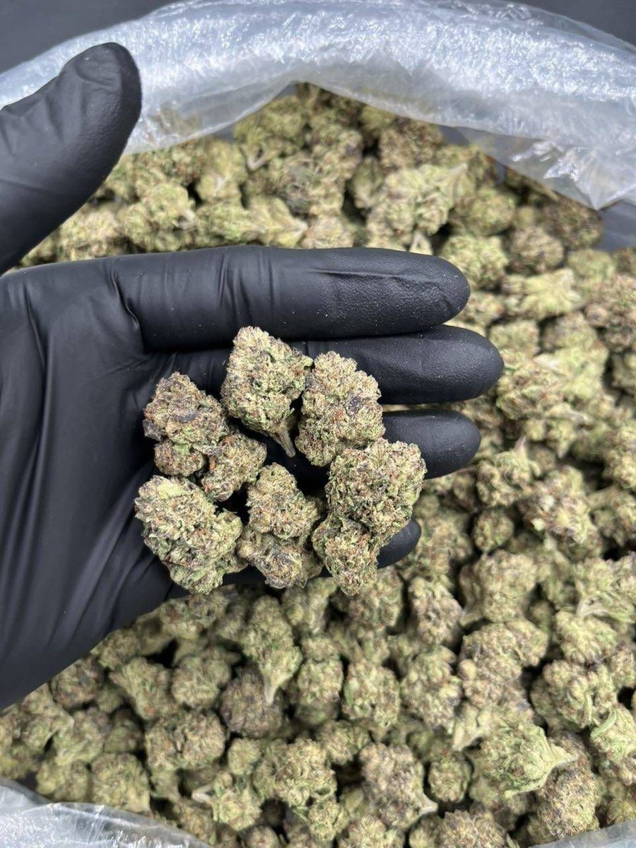 ukweed42's tweet photo. Weed Chester, Gloucester, Lincoln, Peterborough, Ipswich, Colchester, Canterbury, Salisbury, Winchester, Worcester, Carlisle, Durham, Lancaster, Middlesbrough, Blackpool, Bournemouth,Southend-on-Sea, Chelmsford, Northampton,Swindon, Warrington, Wigan, Bolton, Stockport, Rochdale. https://t.co/ZGZSvdN2w7