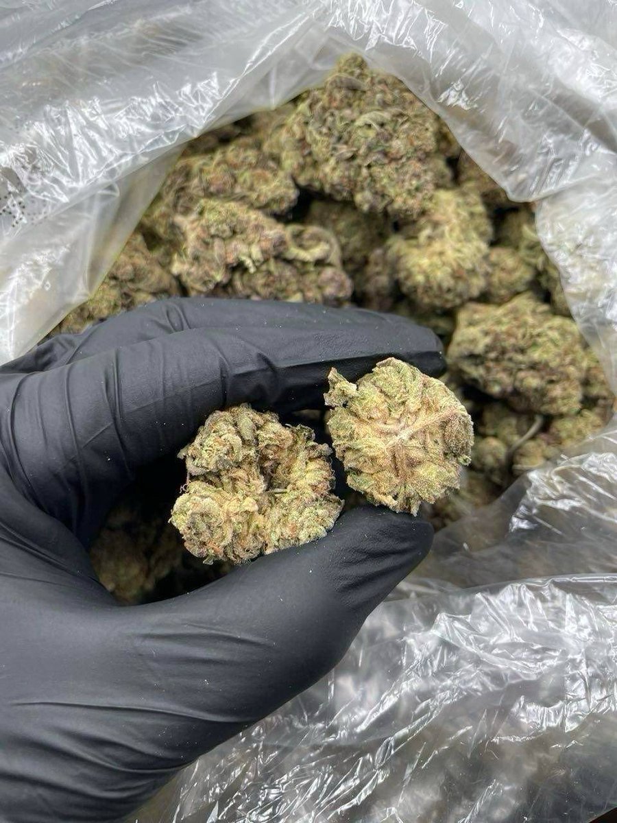 ukweed42's tweet photo. Weed Chester, Gloucester, Lincoln, Peterborough, Ipswich, Colchester, Canterbury, Salisbury, Winchester, Worcester, Carlisle, Durham, Lancaster, Middlesbrough, Blackpool, Bournemouth,Southend-on-Sea, Chelmsford, Northampton,Swindon, Warrington, Wigan, Bolton, Stockport, Rochdale. https://t.co/ZGZSvdN2w7