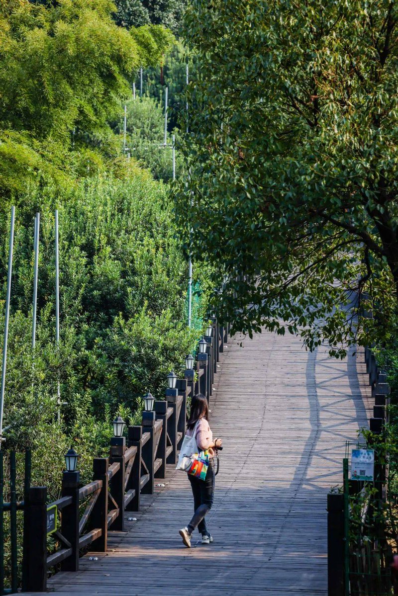 MiftahHayar's tweet photo. Chill at the mountain pass, breathe fresh air, and find peaceful joy in nature’s quiet moments. https://t.co/APZgfno4aX