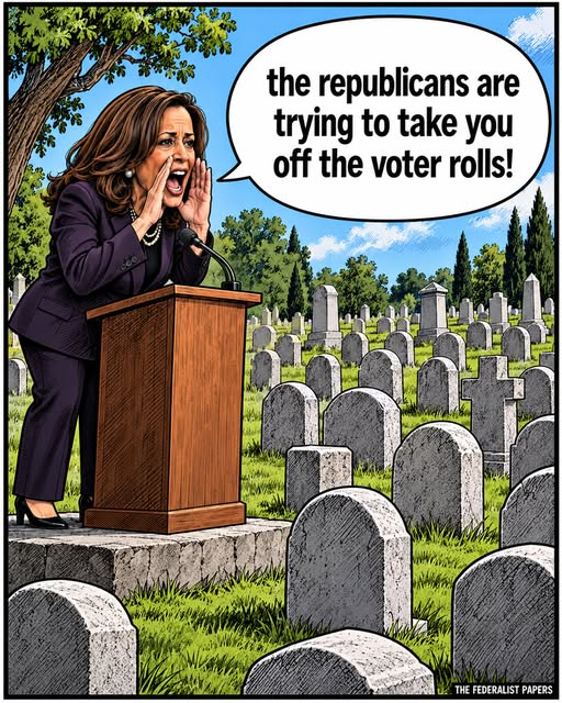 RYboating's tweet photo. How dare we do that! 😂

Dead people and non-citizen are their constituents.😉 https://t.co/39YcDqbLn4