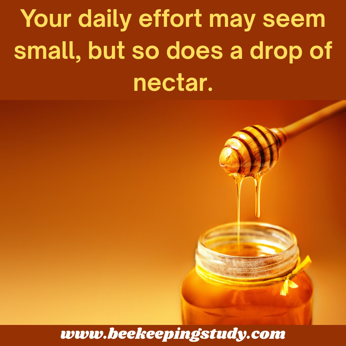 BeeKeepingStudy's tweet photo. Your daily effort may seem small, but so does a drop of nectar.
#motivationalquotes #motivationalquotes #honeyfacts #beekeepingstudy https://t.co/cR7xMG5f2R