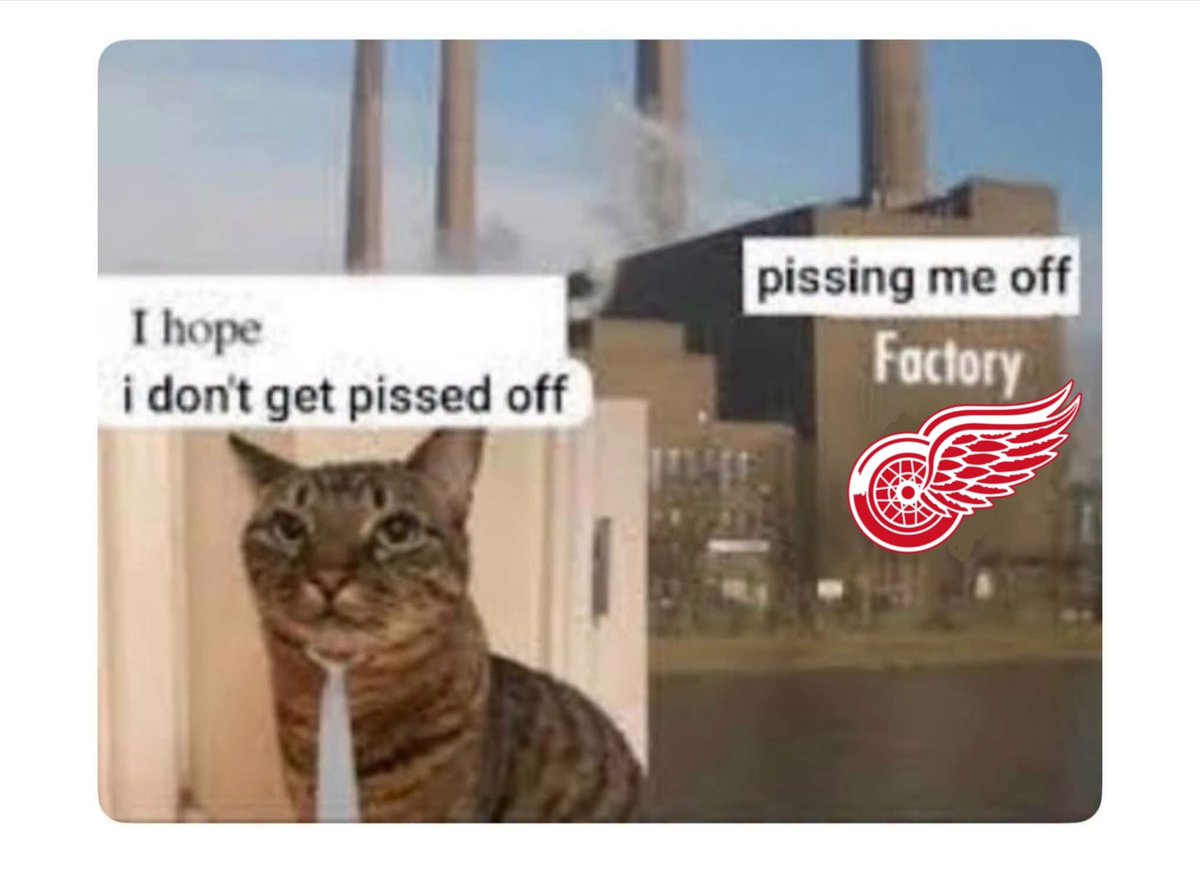 badgermeat_'s tweet photo. @WingedWheelPod https://t.co/4eRfaNZjex