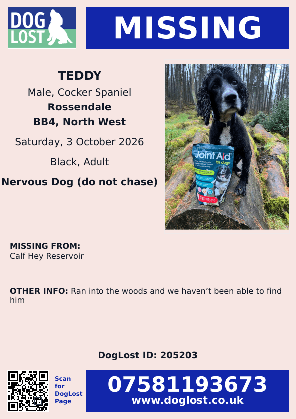 millypod1's tweet photo. 🆘3 OCT 2026 #Lost Teddy #ScanMe
Cocker Spaniel Male. Nervous Dog (do not chase).
Calf Hey Reservoir #BB4
County #Rossendale #Lancashire
Ran into the woods and we haven’t been able to find him
https://t.co/5DxH6nB1Dr https://t.co/h8t6M4F75g
