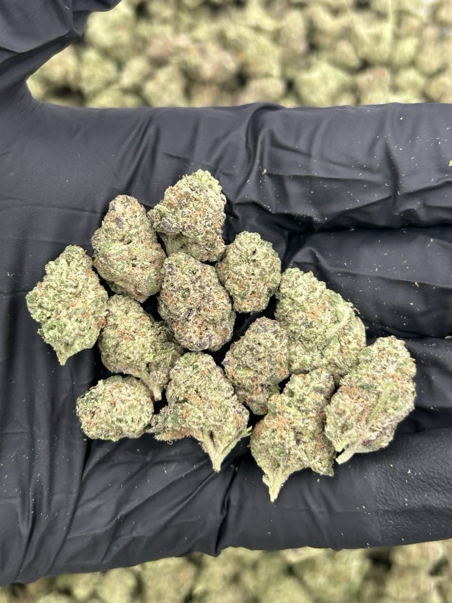 Swismoke420's tweet photo. Weed Aigle, Bex, Villeneuve, Montreux, Vevey, La Tour-de-Peilz, Blonay, Châtel-St-Denis, Bulle, Gruyères, Romont, Fribourg, Bardonnex,Troinex, Veyrier, Chêne-Bougeries,Göschenen, Hospental, Realp, Schwyz, Brunnen, Ingenbohl, Gersau, Arth, Goldau, Küssnacht, Einsiedeln, Pfäffikon. https://t.co/C17h8NsfdM