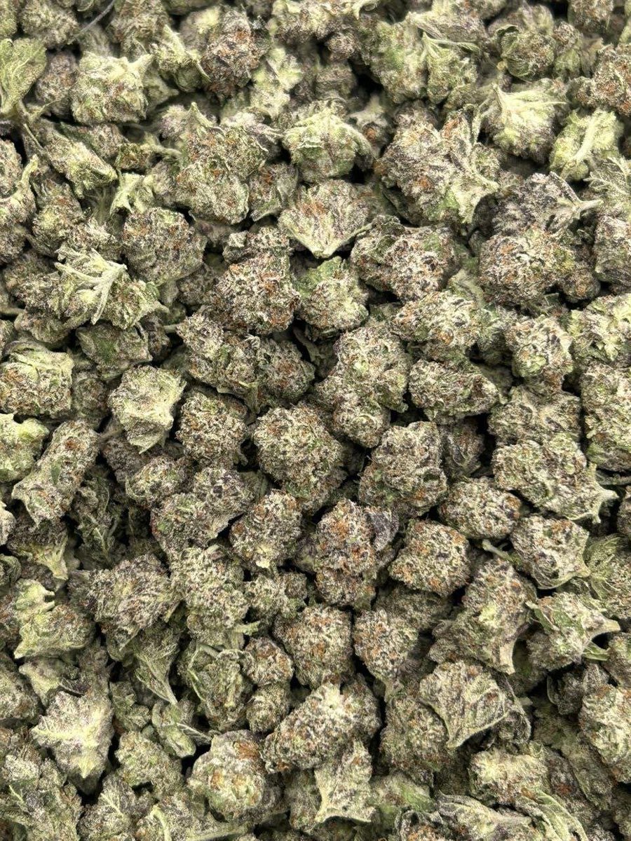 Swismoke420's tweet photo. Weed Murten, Avenches, Payerne, Moudon, Échallens, Cossonay, Morges, Aubonne, Rolle, Gland, Nyon, Coppet, Versoix, Grand-Saconnex, Vernier, Meyrin, Satigny, Bernex, Onex, Lancy, Carouge, Plan-les-Ouates, Thônex, Chêne-Bougeries, Chêne-Bourg, Puplinge, Jussy. https://t.co/qfasWgUIFJ