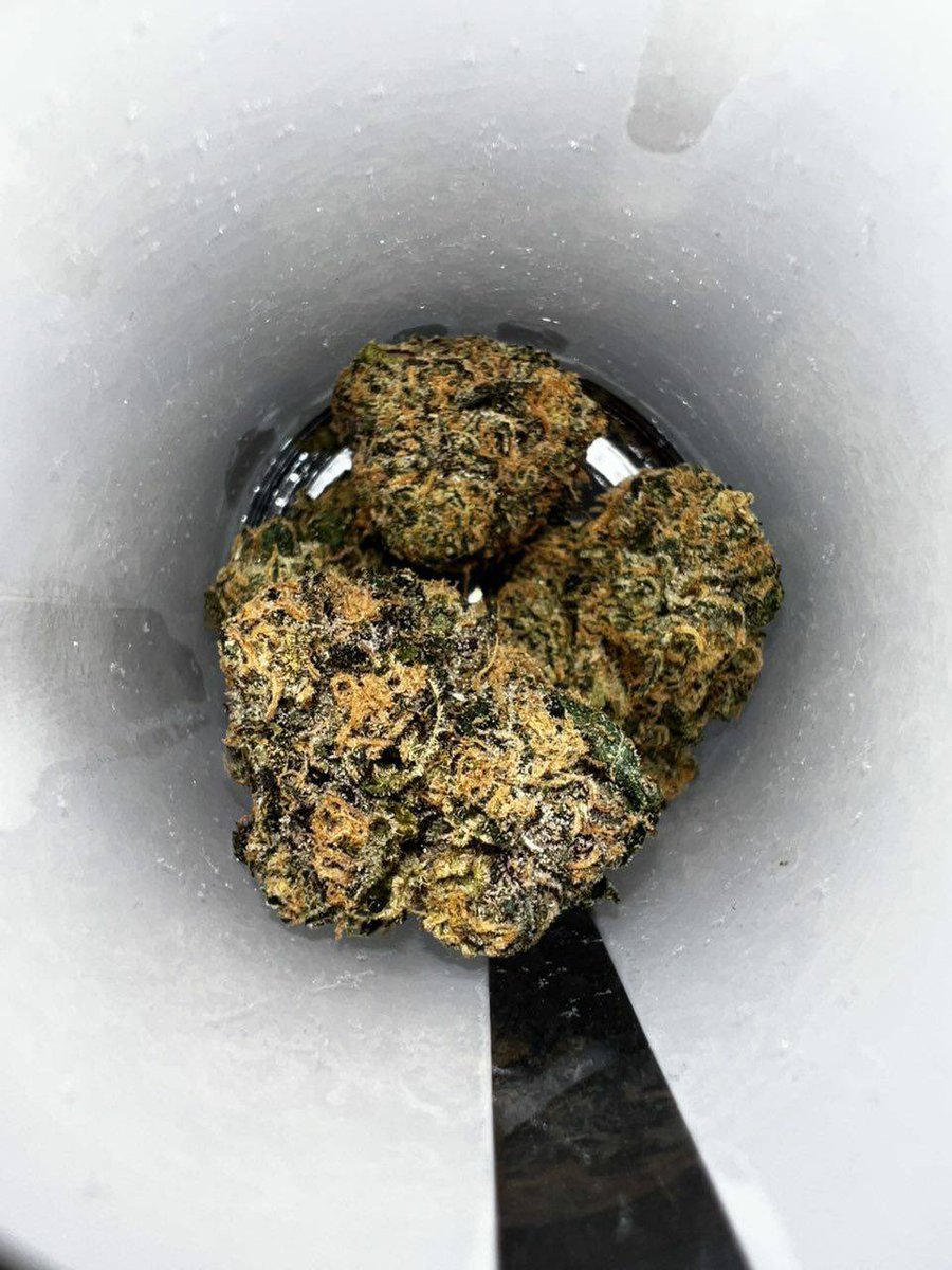 Swismoke420's tweet photo. Weed Zürich, Geneva, Basel, Lausanne, Bern, Winterthur, Lucerne, St. Gallen, Lugano,Bienne, Thun, Bellinzona, Köniz, La Chaux-de-Fonds, Fribourg, Schaffhausen, Neuchâtel, Le Locle, La Chaux-de-Fonds, Val-de-Ruz, Val-de-Travers, Boudry, Cortaillod, Peseux, Hauterive, Colombier. https://t.co/d4Tff0vGHw