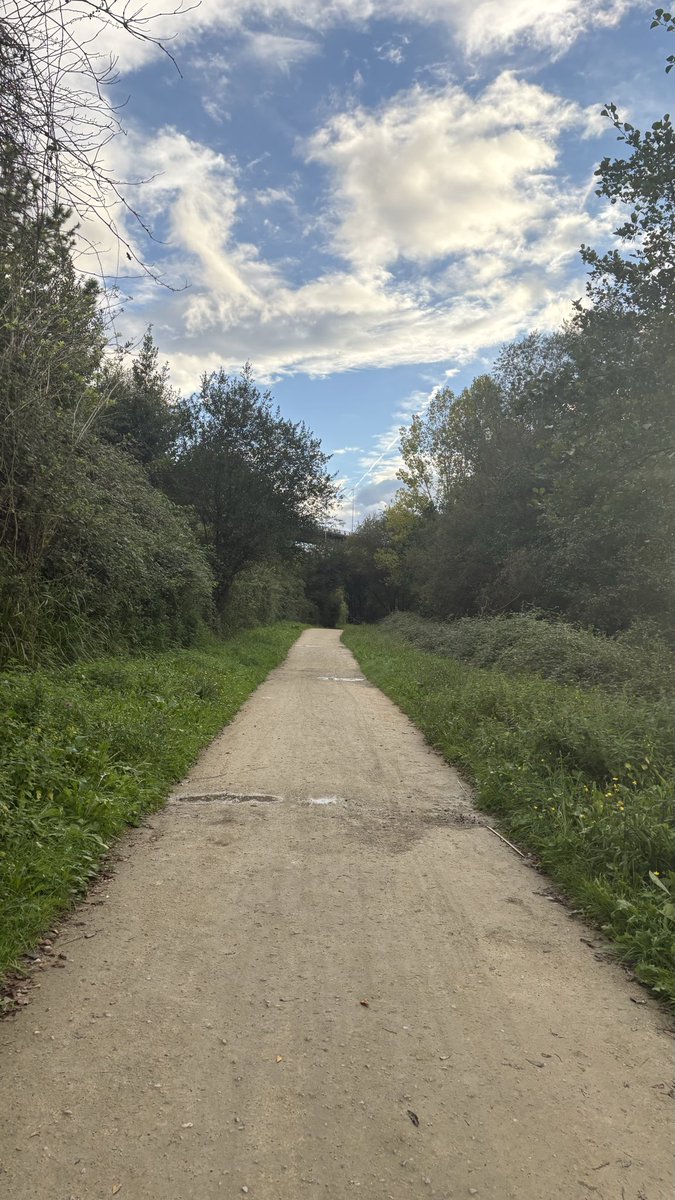 mintitymint's tweet photo. going for a walk has lifted my spirits! https://t.co/LEAGKgKQn1