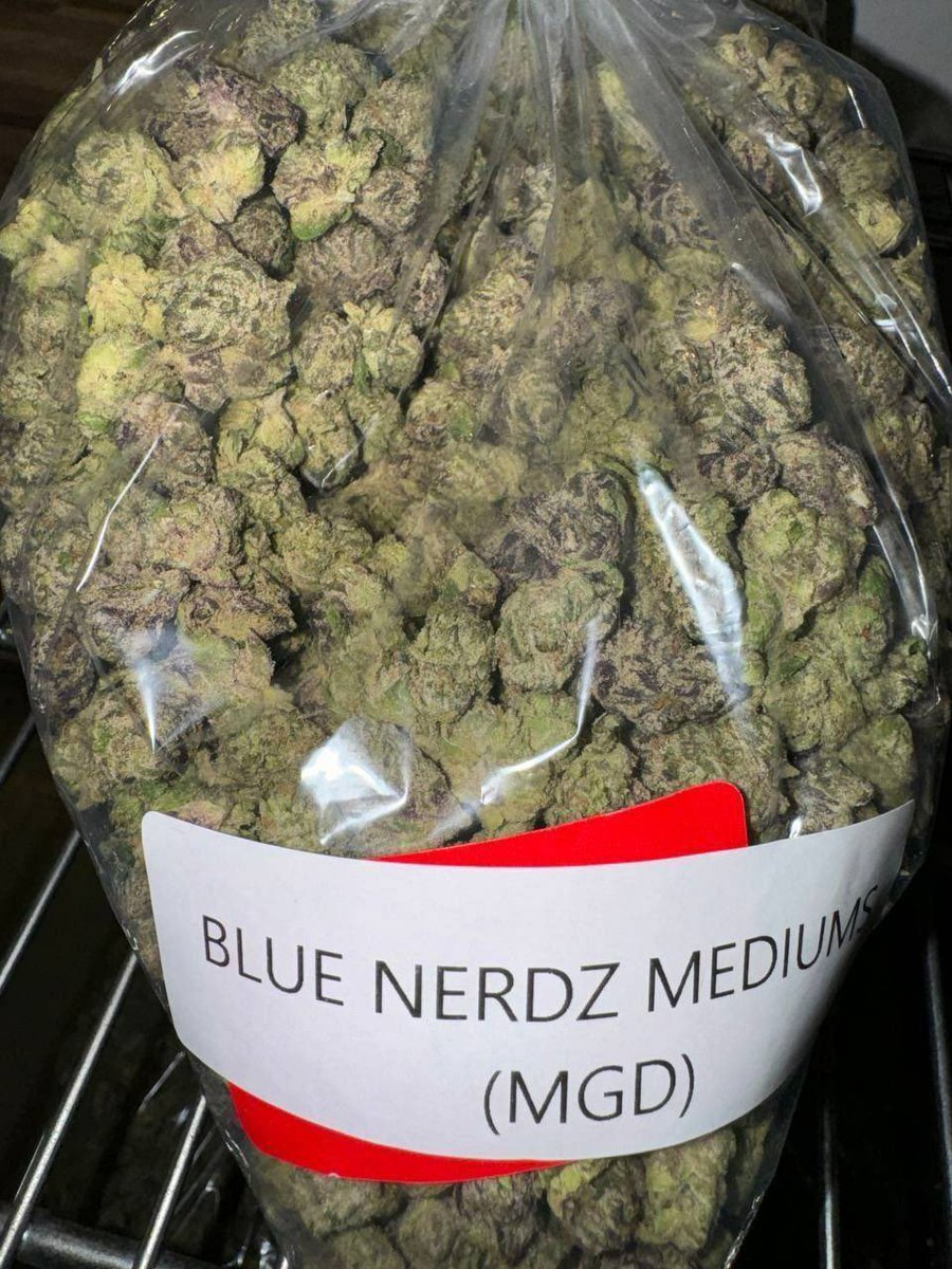 Swismoke420's tweet photo. Weed Lauterbrunnen, Meiringen, Brienz, Spiez, Interlaken,Thun, Steffisburg, Münsingen, Burgdorf, Langenthal, Solothurn, Olten, Aarau, Baden, Wettingen, Brugg,Lenzburg, Zofingen, Rheinfelden,Liestal, Allschwil, Binningen,Muttenz,Pratteln,Reinach, Aesch, Arlesheim,Riehen,Bettingen. https://t.co/SOLOftXhVS
