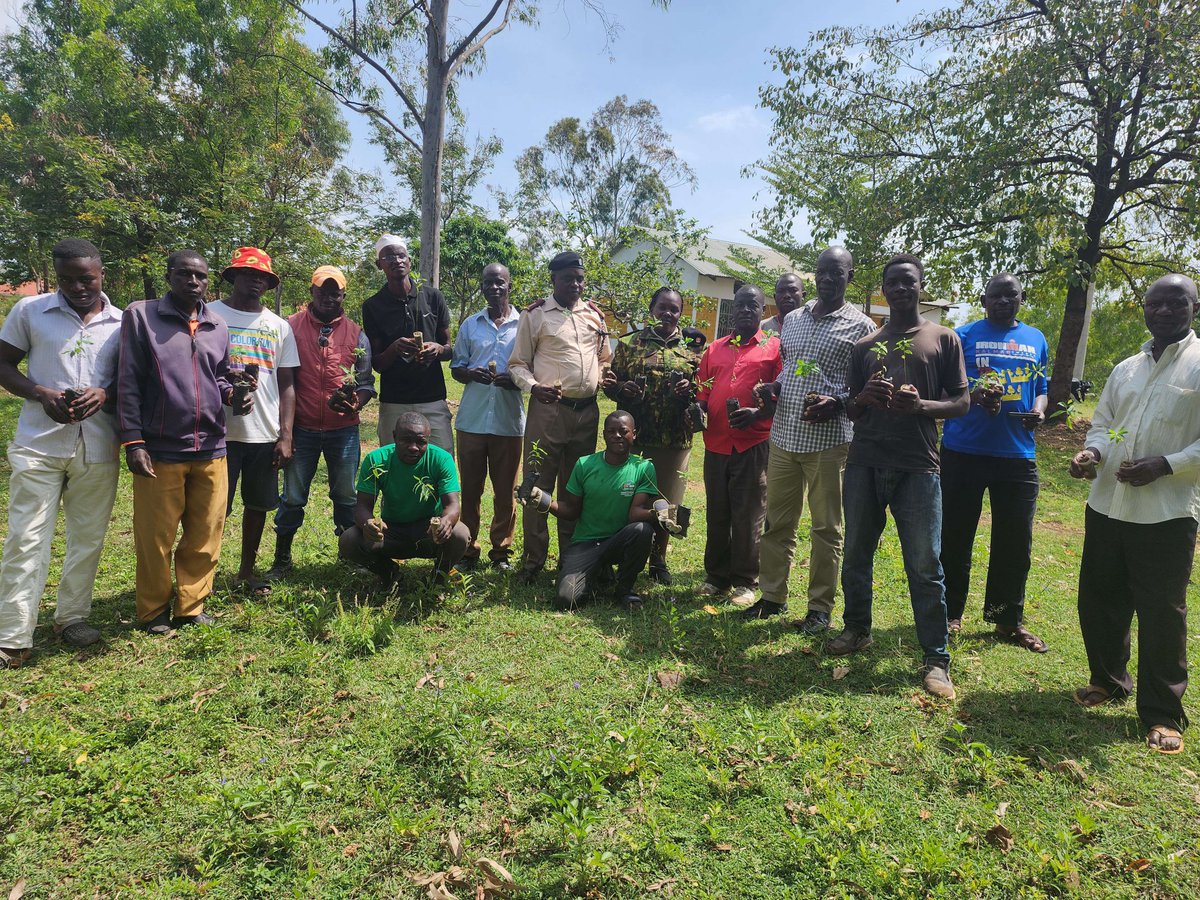 Kawagumba's tweet photo. Building real impact, by growing food security, educating  children, provide clothes and shelter, friend we need to share our love for our people, let us build together.@regen_network.@agroforestDAO.#Letsgrow https://t.co/SRS4CZY8kK